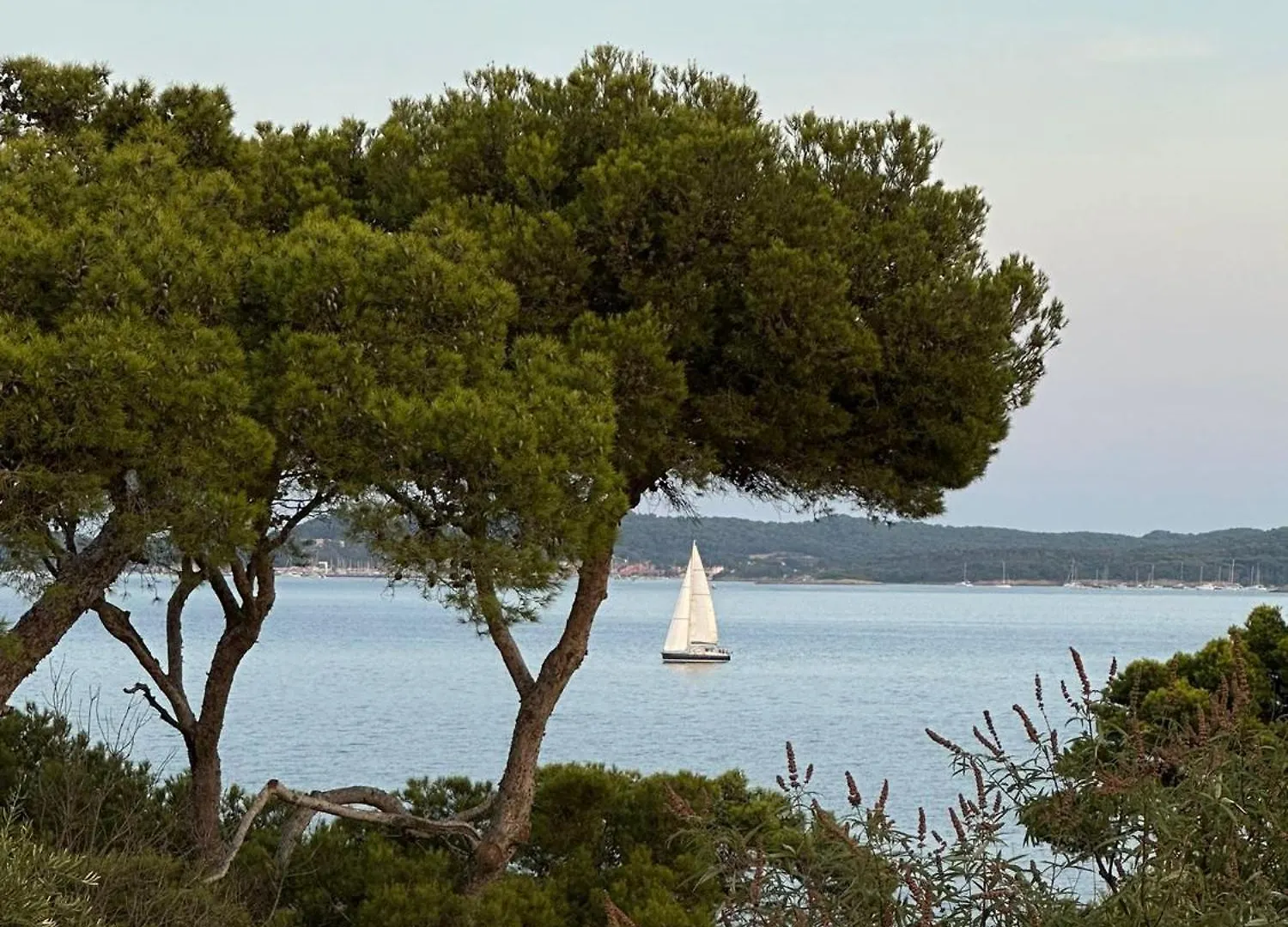 L'Instant Plage - Vue Mer - Bord De Plage - La Capte - Cote D'Azur Hyeres 0*,